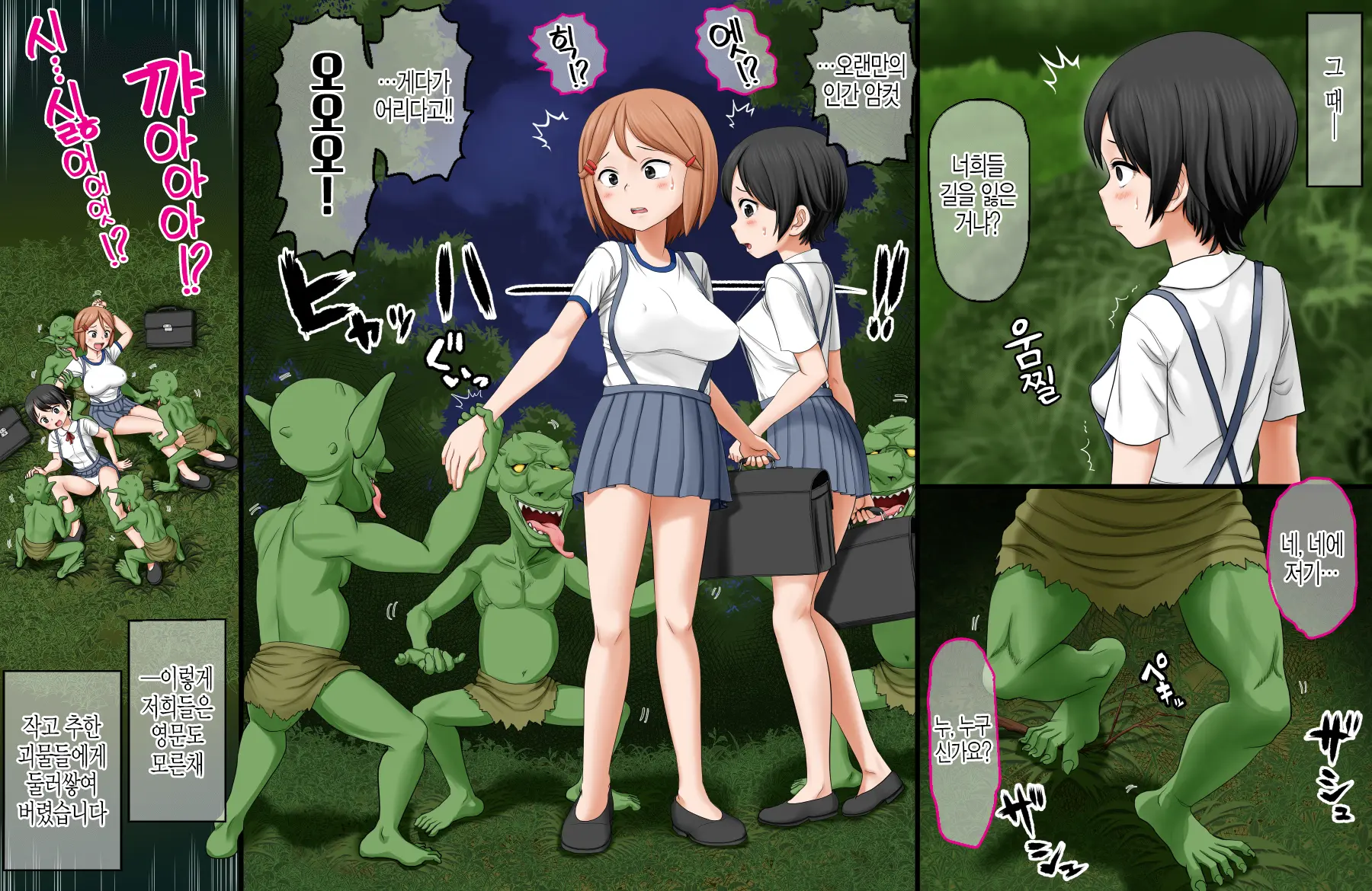 Ikai Yomeiri Kitan ~Gakkou Gaeri Ni Mayoikonde Kaibutsu-Tachi Ni Iroiro Sarechatta Shimai No Hanashi~ | 이괴 가입 기담 ~하교길에 이계로 흘러들어가 괴물들에게 여러가지로 당해버린 자매의 이야기~
